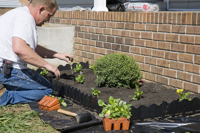 Commercial landscaping and grounds maintenance